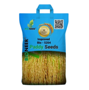 Improved Bio-5204 Paddy Seeds