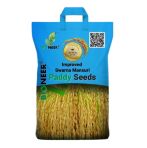 Swarna Mansuri Paddy Seeds